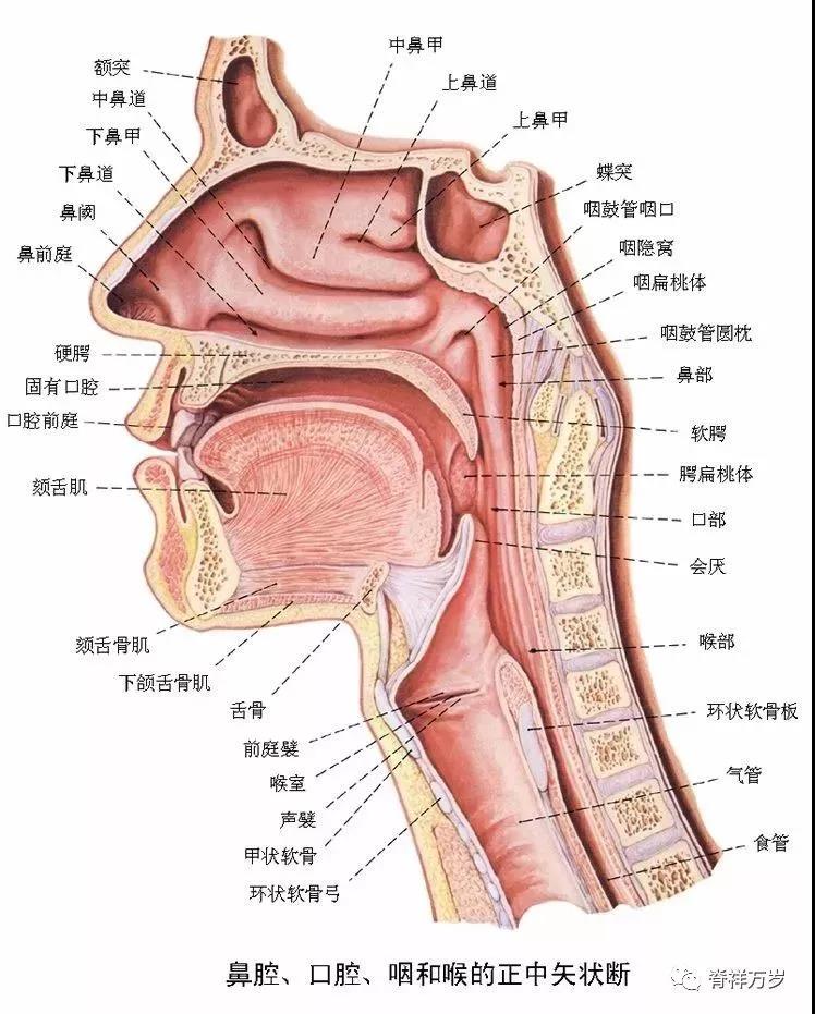 微信圖片_20190102112327