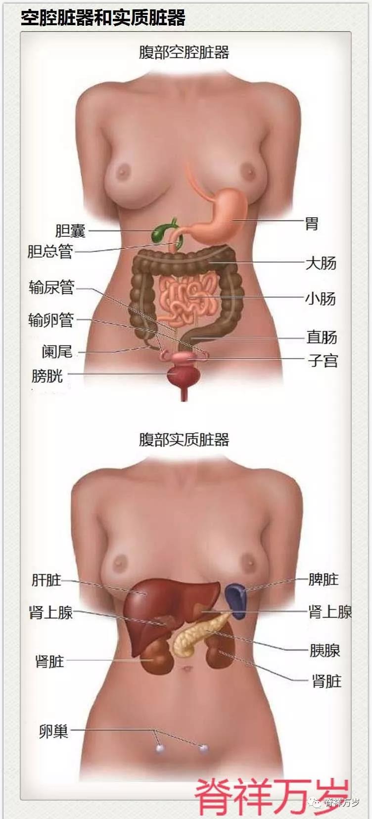 微信圖片_20190107170104