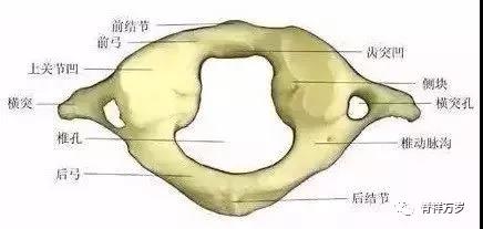 微信圖片_20190320085612