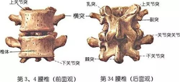 微信圖片_20200728203809